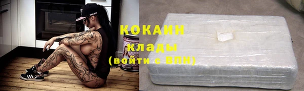 твердый Козловка